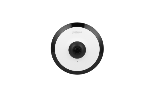 DH-IPC-EW4541-ASW 500万